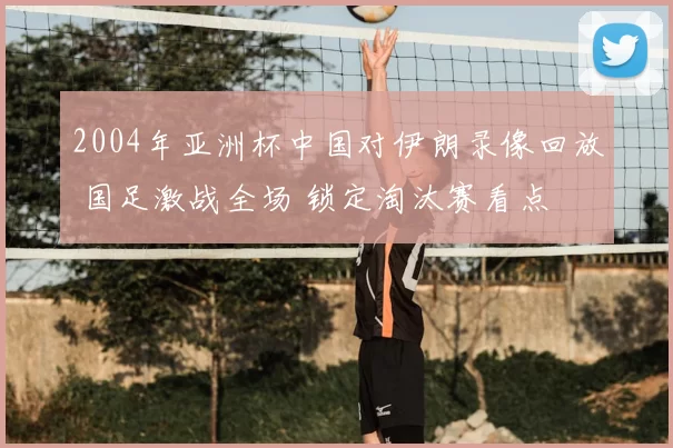 2004年亚洲杯中国对伊朗录像回放 国足激战全场 锁定淘汰赛看点