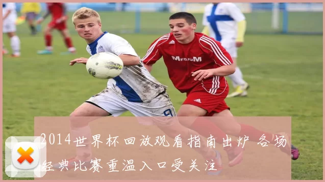 2014世界杯回放观看指南出炉 各场经典比赛重温入口受关注