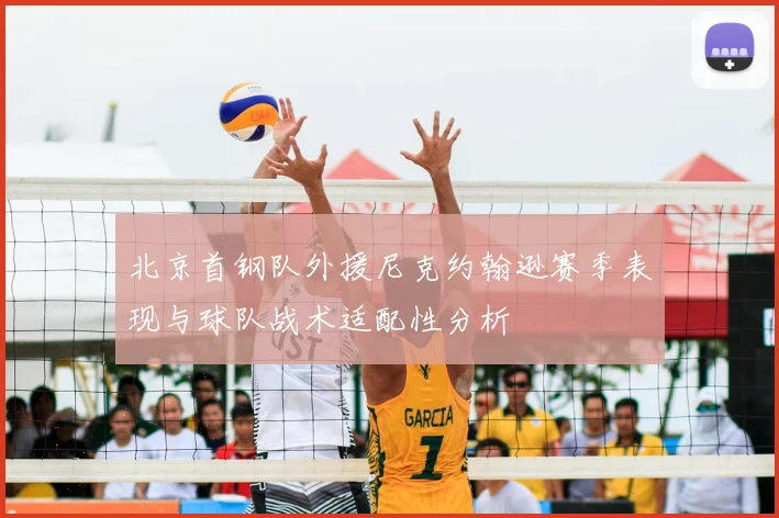 北京首钢队外援尼克约翰逊赛季表现与球队战术适配性分析