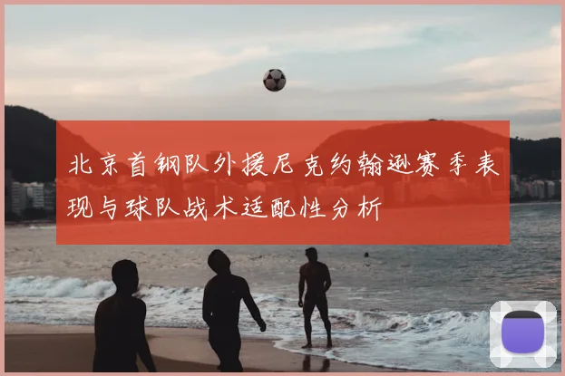 北京首钢队外援尼克约翰逊赛季表现与球队战术适配性分析