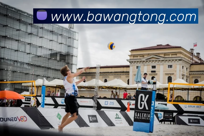 世界杯官方网络平台平台生态图