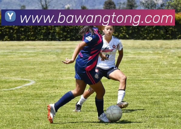 世界杯官方网络平台APP 封面图